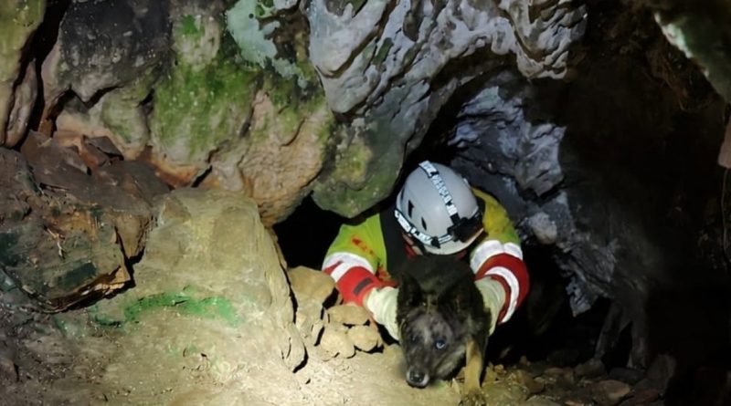 Pedro Sánchez: el perro que le robó el protagonismo en La Moncloa
