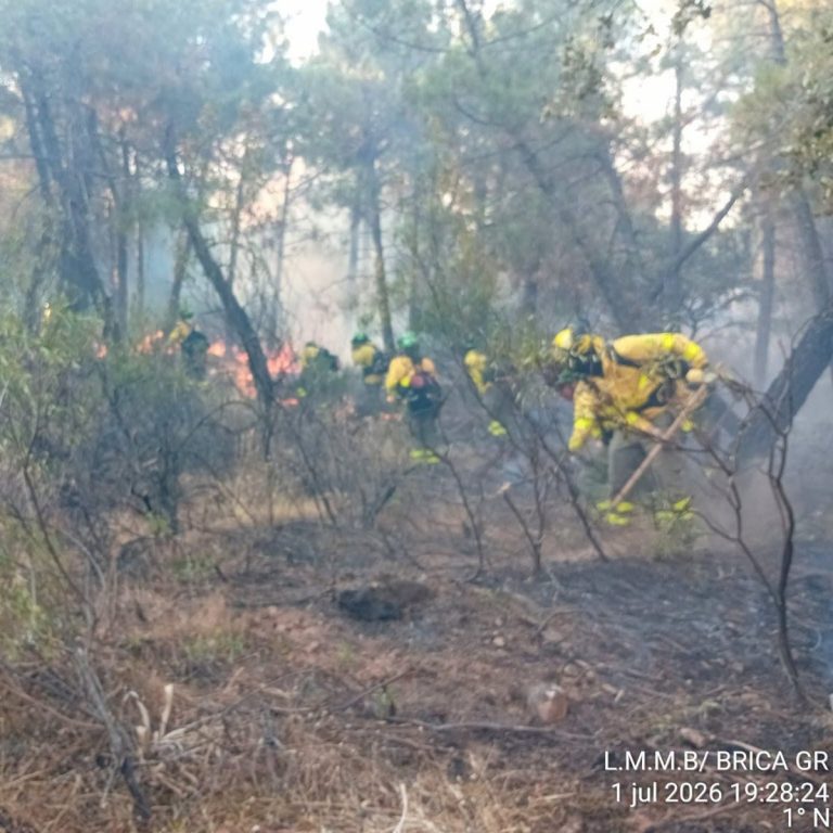 Incendio en La Carolina (Jaén): Vivienda calcinada y desalojo de edificio