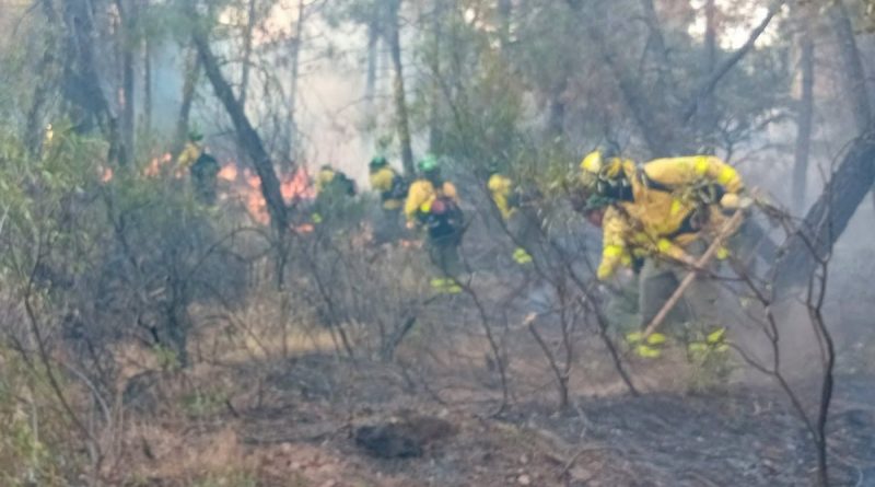 Incendio en La Carolina (Jaén): Vivienda calcinada y desalojo de edificio