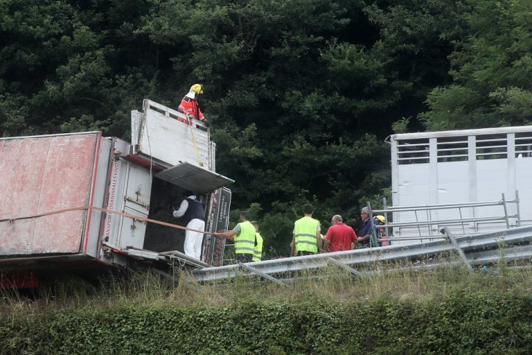 Buscan a Carmen López Rebolo: Desaparecida en Lugo