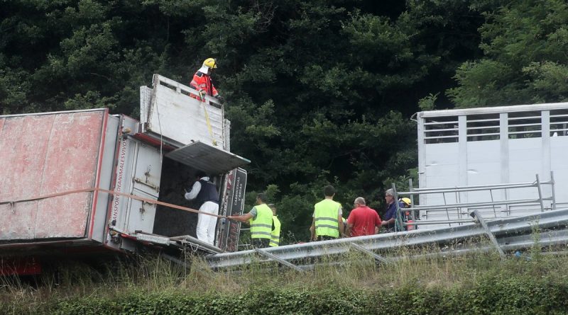 Buscan a Carmen López Rebolo: Desaparecida en Lugo