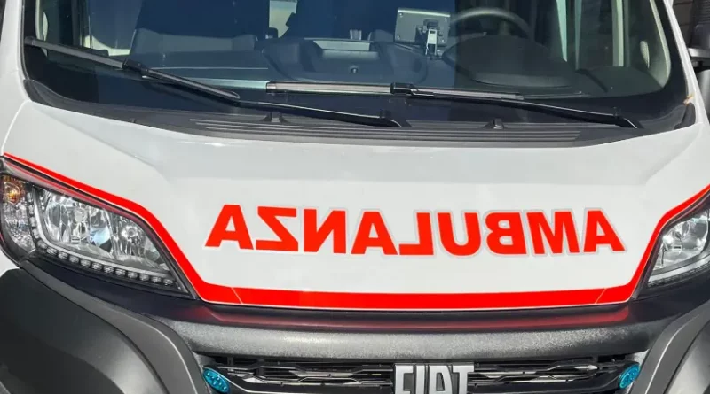 Calabria: Perros guardianes contra lobos y alarma sanitaria por muerte de un bebé