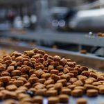 Pet food España: El mercado alcanza los 29.300 millones de euros