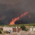 Almería: 12 muertos y 23 desaparecidos por devastador incendio forestal