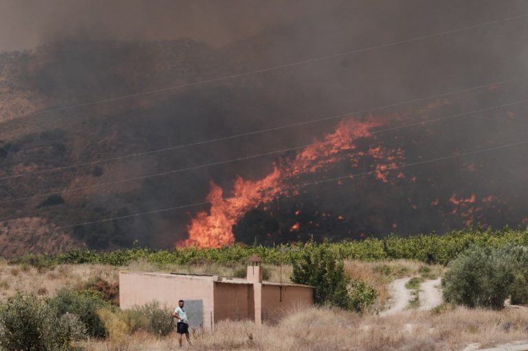 Almería: 12 muertos y 23 desaparecidos por devastador incendio forestal