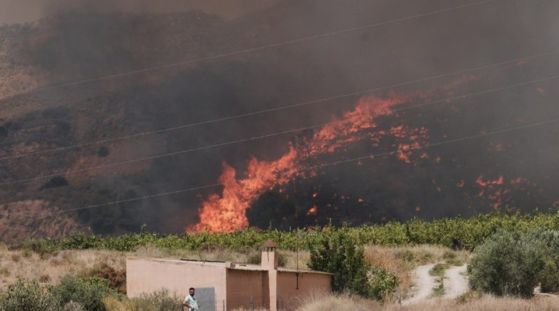 Almería: 12 muertos y 23 desaparecidos por devastador incendio forestal