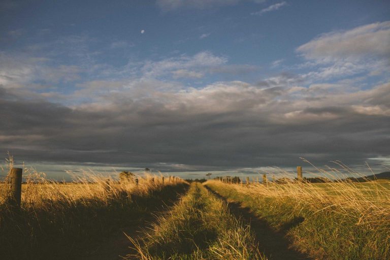 la banca defiende su alta competitividad frente a la CNMC