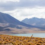 Miles de crisis que viví jamás ocurrieron" por culpa de la ansiedad