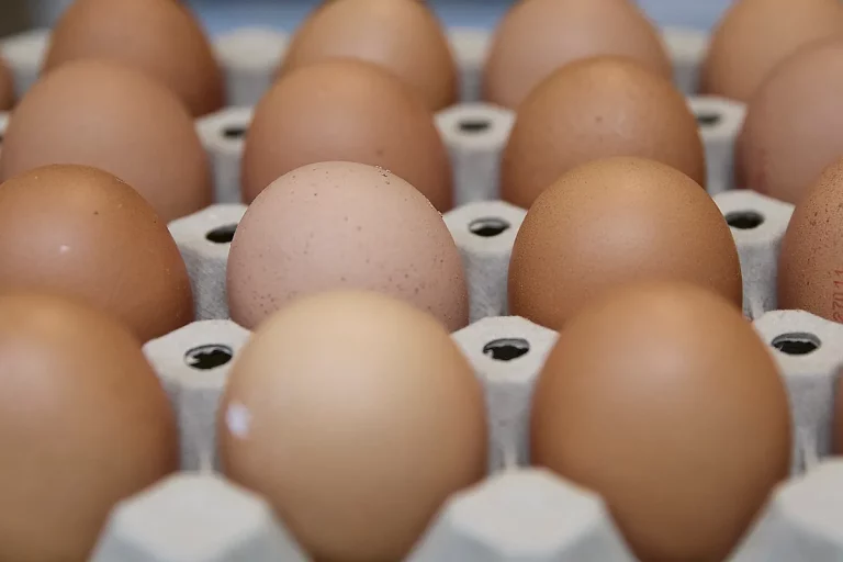 El precio de los huevos se dispara desde hoy, 17 de agosto