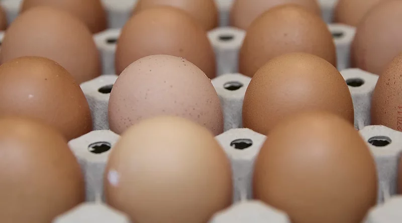 El precio de los huevos se dispara desde hoy, 17 de agosto