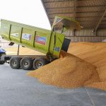 La sequía en el norte de España abre un nuevo mercado para el maíz