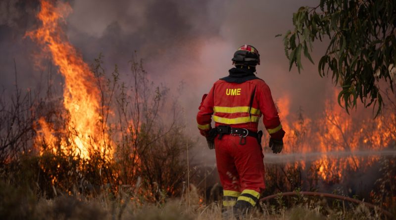 Incendios: Bollain denuncia recortes en prevención y la estrategia