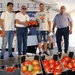 20.000 euros por tomates: El Huevo de Toro de Coín bate récord